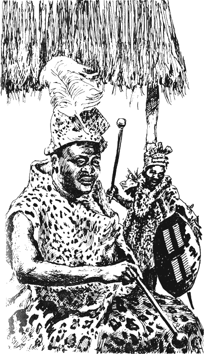Африка — земля парадоксов img23.png
