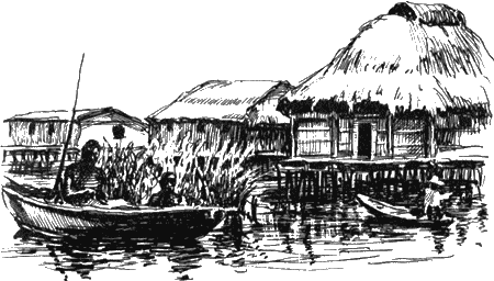 Африка — земля парадоксов img16.png