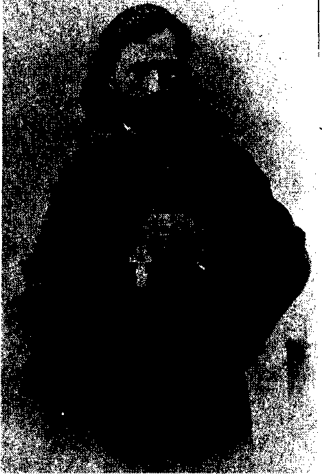 Полицейские и провокаторы image42.png