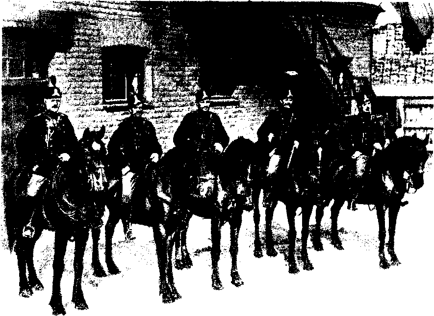 Полицейские и провокаторы image46.png