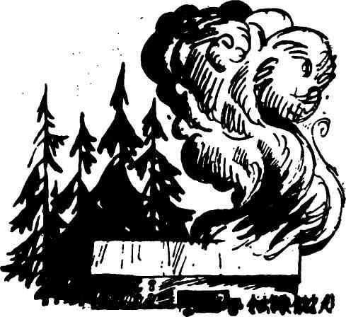 Первая просека img_6.jpeg