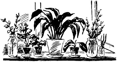 Малютка с лесного озера i_001.png