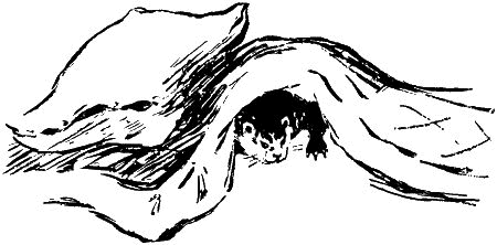 Малютка с лесного озера i_021.png