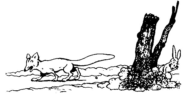 Мифы и легенды народов мира. Том 5. Центральная и Южная Европа i_042.png