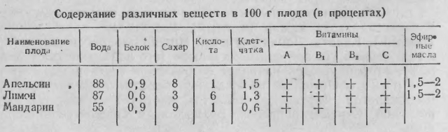 Узбекские блюда t04.jpg
