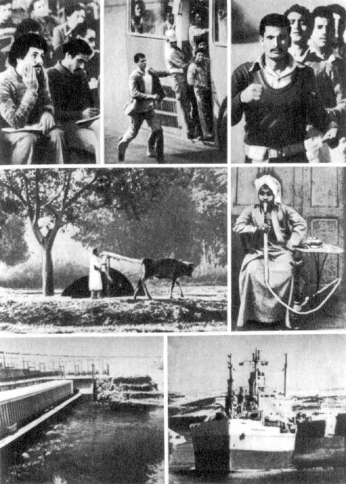Улыбка сфинкса i_023.jpg