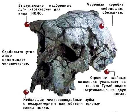 Юный техник, 2002 № 11 _16.jpg