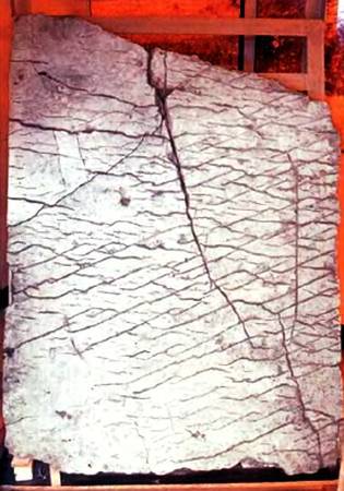 Юный техник, 2002 № 05 _13.jpg