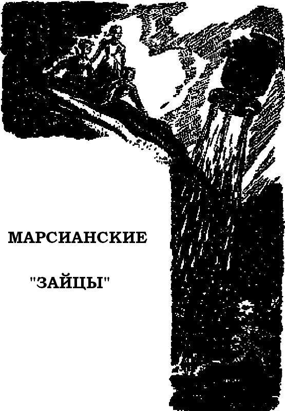 Марсианские «зайцы» _6.jpg