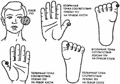 Лечение детей нетрадиционными методами. Практическая энциклопедия. img119a.jpg