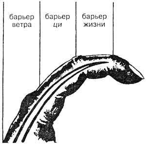 Лечение детей нетрадиционными методами. Практическая энциклопедия. img018.jpg