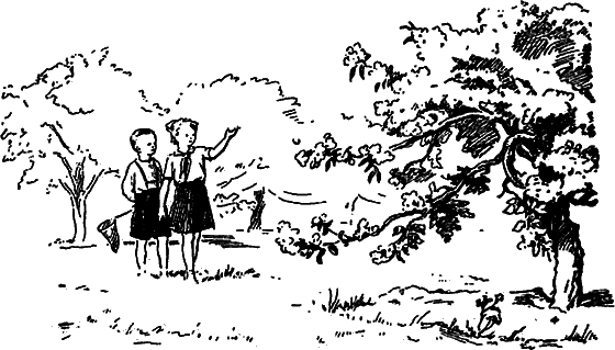 Рассказы о цветах i_003.png