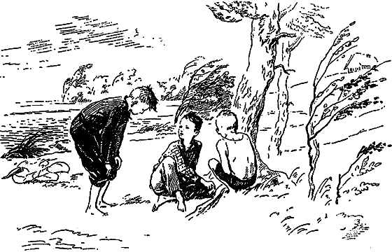 Рассказы о цветах i_044.png