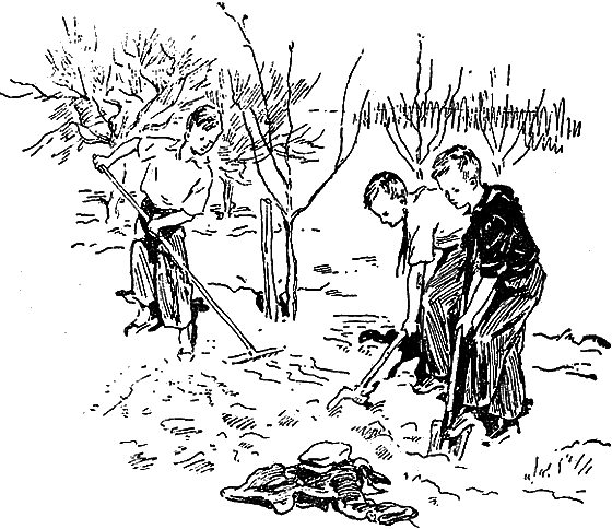Рассказы о цветах i_046.png