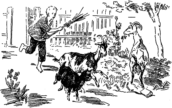 Рассказы о цветах i_063.png