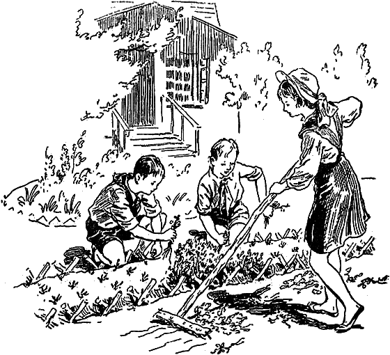 Рассказы о цветах i_070.png