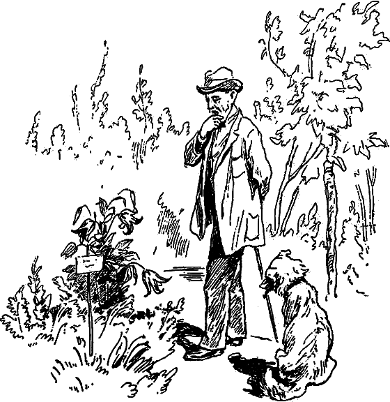 Рассказы о цветах i_090.png