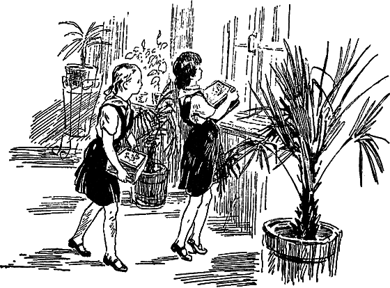 Рассказы о цветах i_106.png