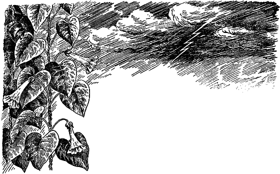 Рассказы о цветах i_019.png