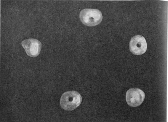 Жемчуг i_004.jpg