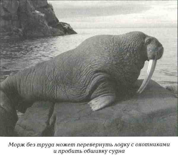 Русская Америка i_044.jpg