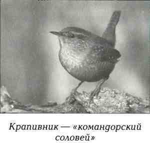 Русская Америка i_053.jpg