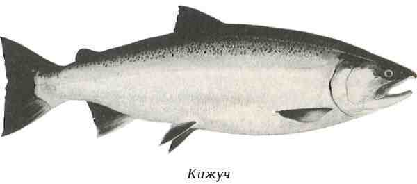 Русская Америка i_058.jpg