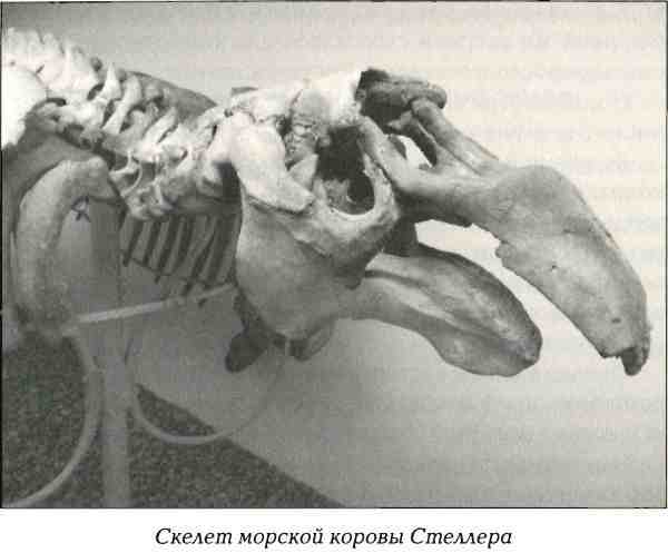 Русская Америка i_062.jpg