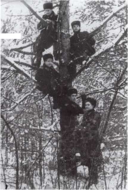Громов i_017.jpg