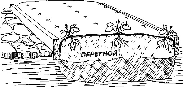 Умный сад в подробностях _76.jpg