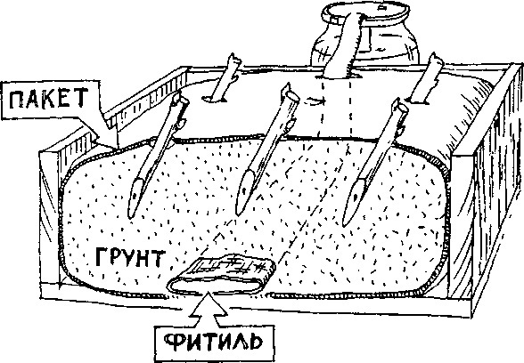Умный сад в подробностях _2.jpg