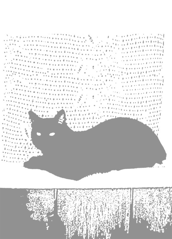 Сняв ненужную суперобложку... image4_5bb8d11acba9960900f180de_jpg