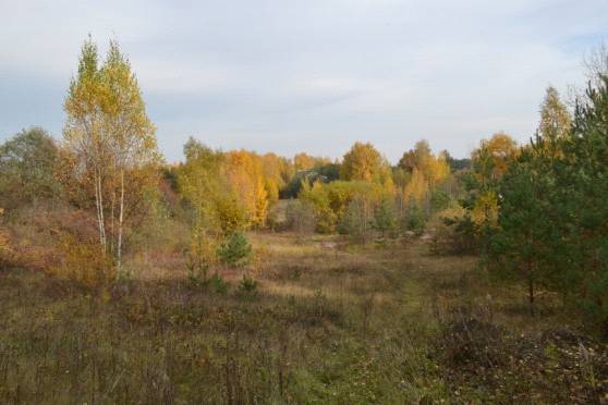 В гостях у Цмока _4.jpg