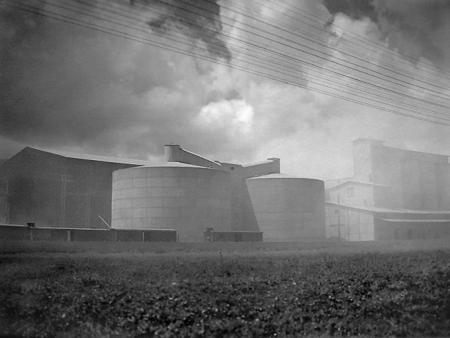 Пинхас Рутенберг. От террориста к сионисту. Том II: В Палестине (1919–1942) i_013.jpg
