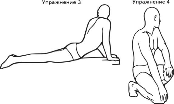 Сыроедение против предрассудков. Эволюция в питании человека img550.jpg