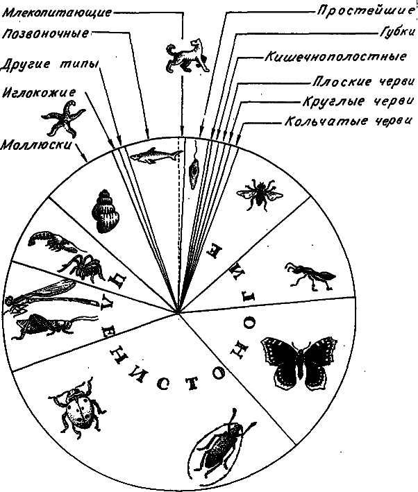 Эволюция и прогресс i_002.png