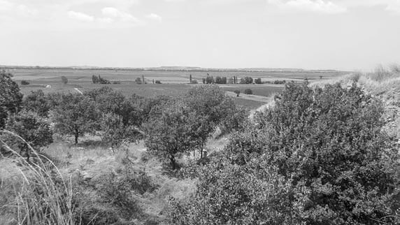 Троянский конь западной истории i_030.jpg