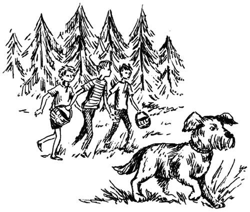 Чарівний талісман (збірник) i_014.png