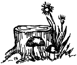 Чарівний талісман (збірник) i_015.png