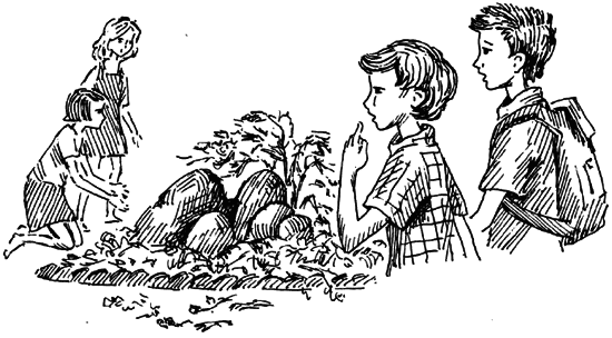 Чарівний талісман (збірник) i_028.png