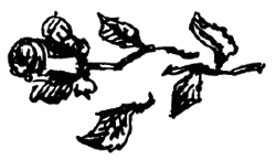 Чарівний талісман (збірник) i_029.png