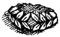 Чарівний талісман (збірник) i_033.png