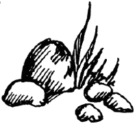 Чарівний талісман (збірник) i_049.png