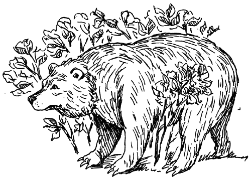 Чарівний талісман (збірник) i_052.png