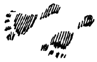 Чарівний талісман (збірник) i_053.png