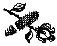 Чарівний талісман (збірник) i_061.png