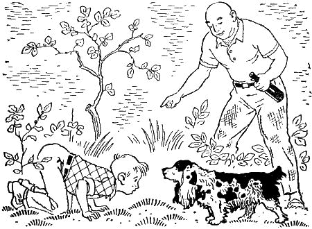 Кап, иди сюда! i_013.png