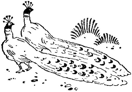 Кап, иди сюда! i_007.png