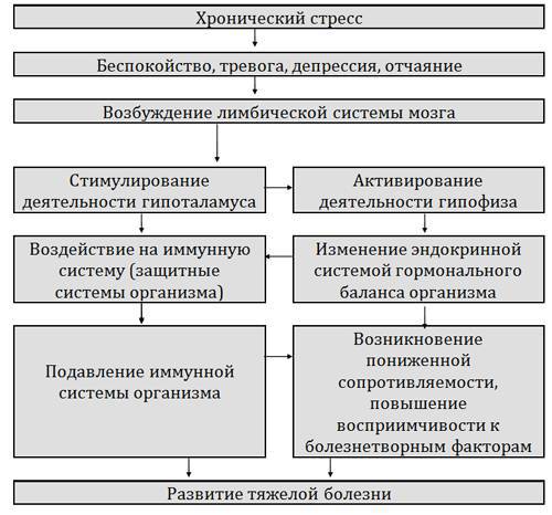 Возвращение к здоровью или как вылечить свое тело и душу без врачей и лекарств. Руководство по основам исцеления _6.jpg