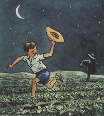 Огурцы (с илл.) i_014.jpg